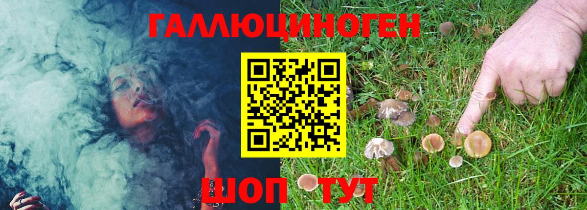 Галлюциногенные грибы Magic Shrooms Краснокаменск