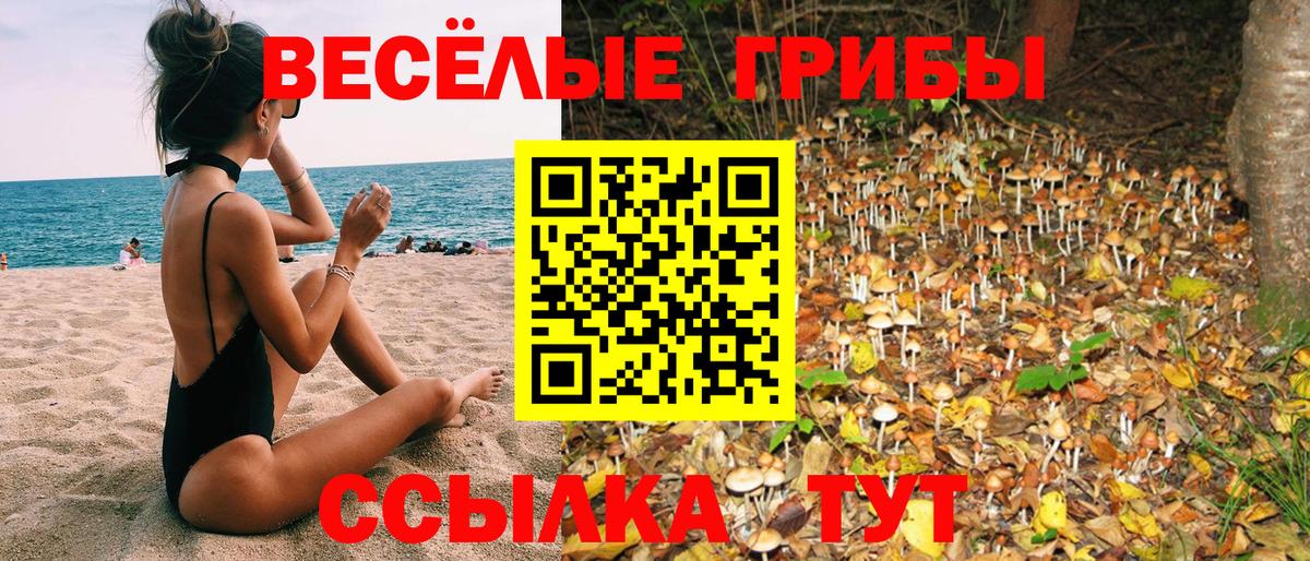 Псилоцибиновые грибы GOLDEN TEACHER  Вход с VPN  закладки  Краснокаменск  Псилоцибиновые грибы прущие грибы 